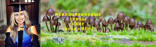 дмт Няндома
