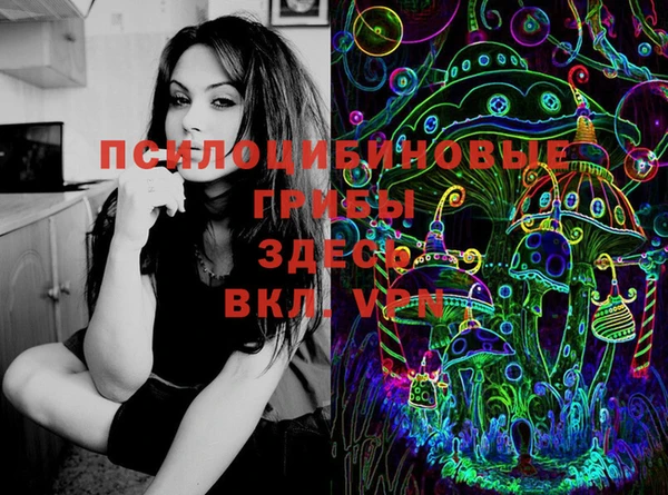 бутират Нязепетровск