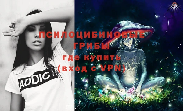 дмт Няндома