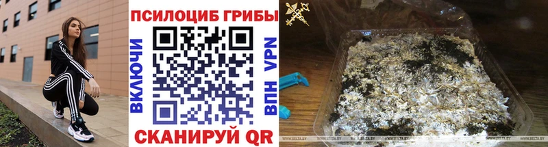Псилоцибиновые грибы мицелий купить сайты Слободской