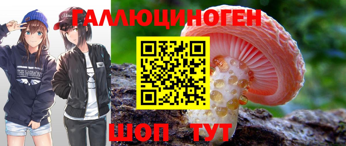 Слободской  Галлюциногенные грибы Psilocybine cubensis  Вход с VPN  Псилоцибиновые грибы Cubensis 